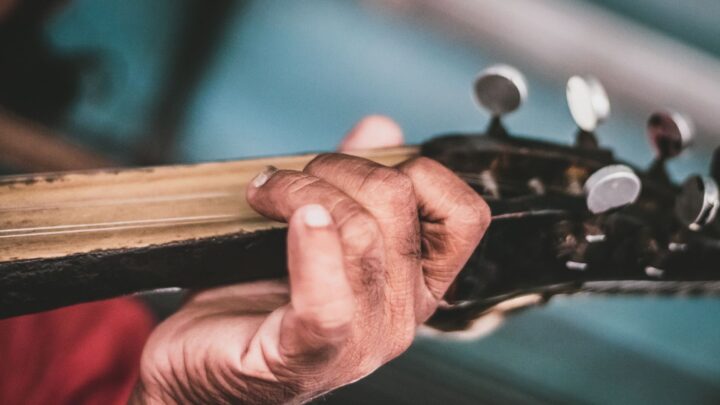 Steirische Harmonika im Rock: Neue Genres entdeckt